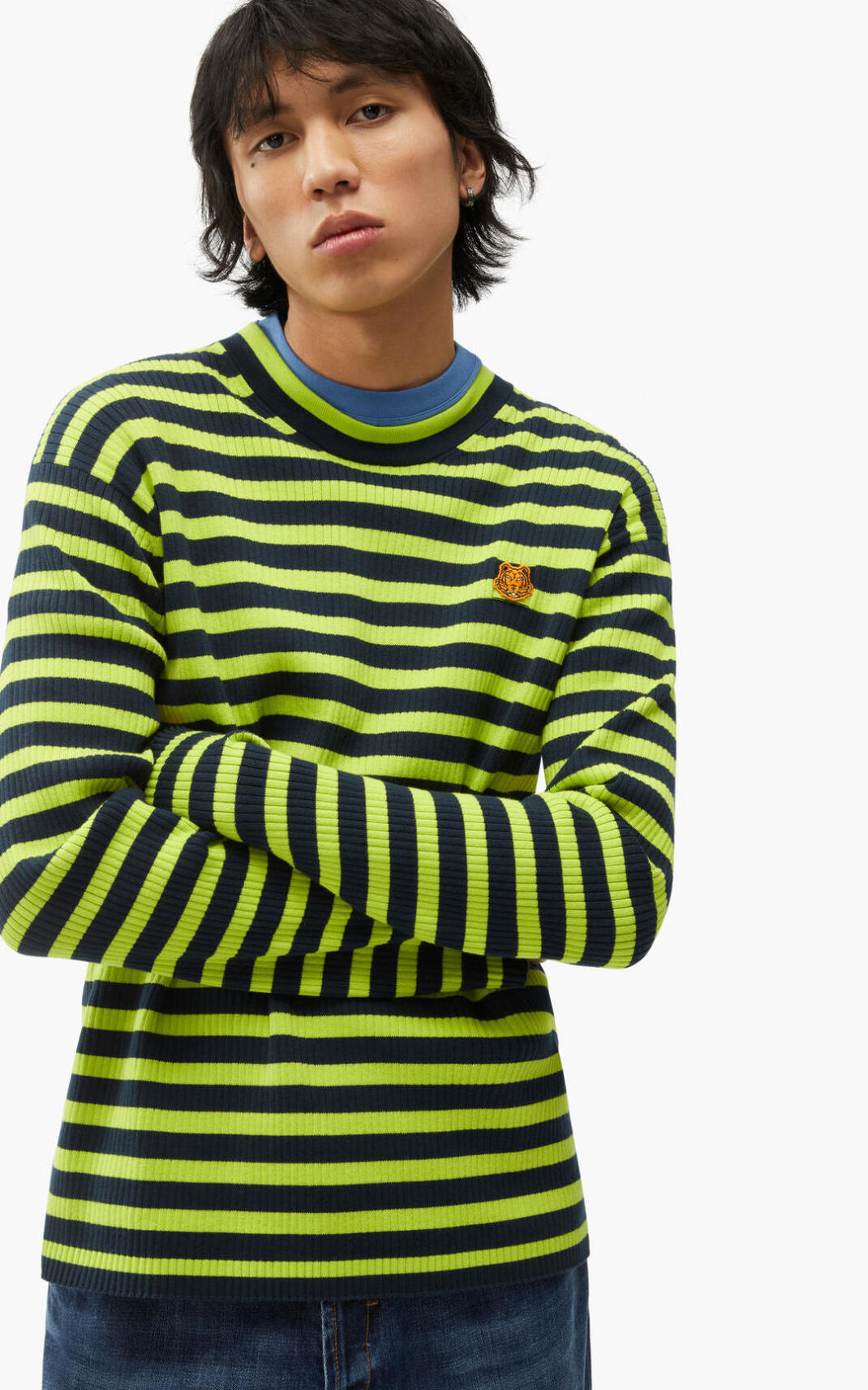 Kenzo Striped 虎 Crest セーター メンズ ライト緑 - LUKQYM571